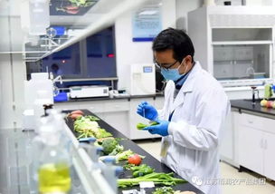 給力！2019全國農業產業化龍頭企業500強發布，徐州這家企業憑借檢驗檢測服務上榜